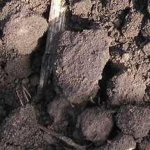 Верхний слой почвы. Комки более 50 мм.
