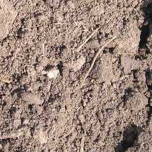 Верхний слой почвы. Комки от 1 до 10 мм